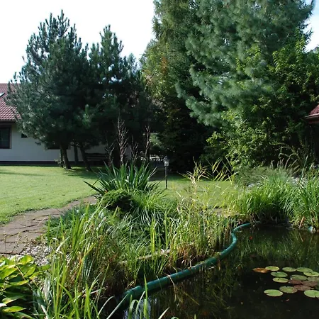 Villarenoma-3